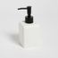 113954.SCO.st